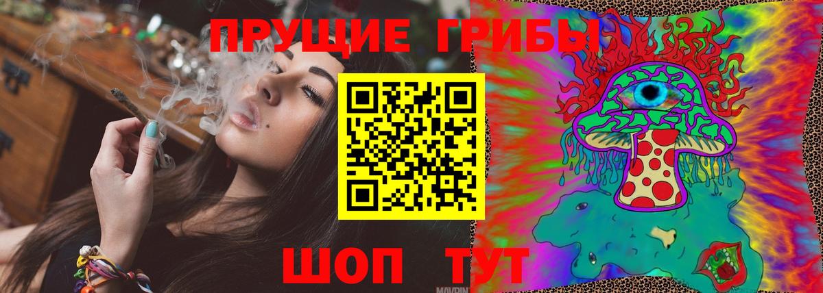 Галлюциногенные грибы Psilocybe Серпухов