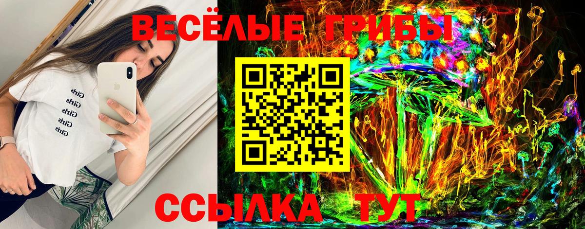 Серпухов  Галлюциногенные грибы Cubensis  Вход с VPN 